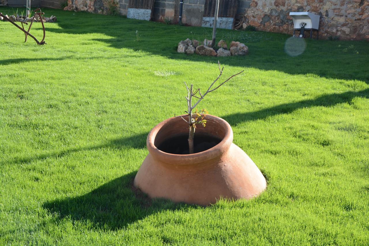 Aromas De La Manchuela